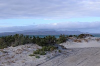 Playa Tecolote
